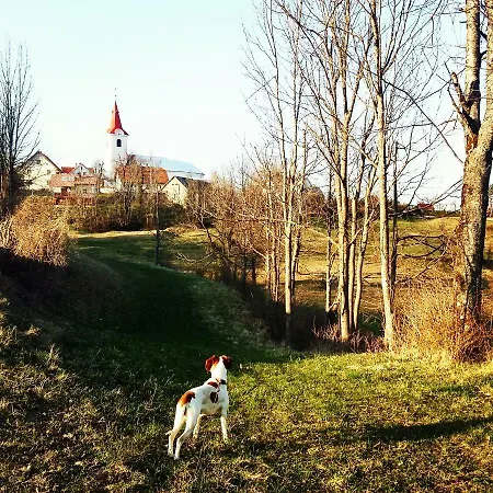 Летний дом Country House Purga Церкница